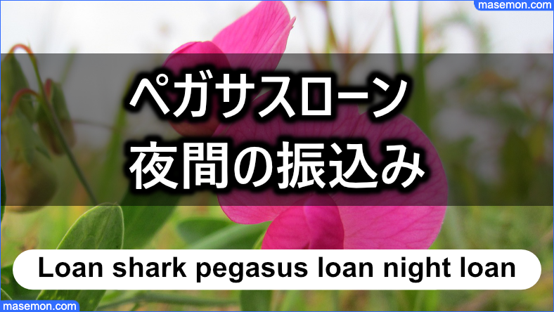 「闇金 ペガサスローン」は夜間でも振込をしてくれる