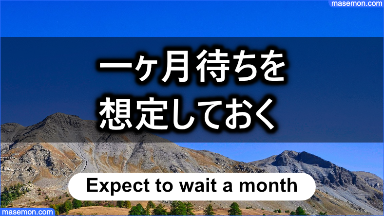 一ヶ月の「待ち」を承知で審査を依頼する場合