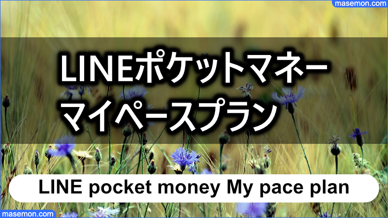 マイペースプランは限度額アップができない