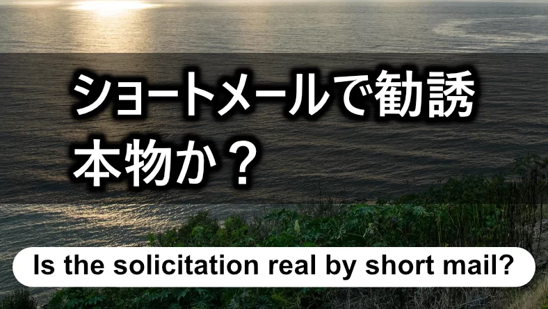 ショートメールで勧誘する「闇金 カネナリ」とは？