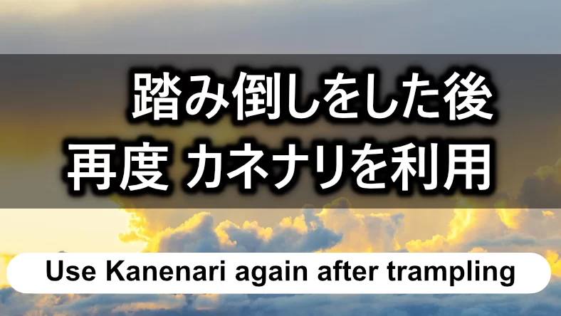 踏み倒しをした後に「闇金 カネナリ」を利用したい