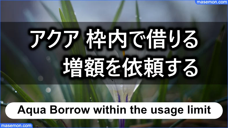 アクアにて枠内で借りる、または増額を依頼する