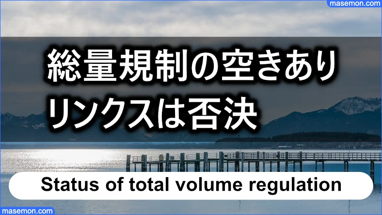 総量規制の空きがあるのにリンクスは否決となった例