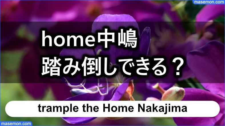 home中嶋を返済せずに踏み倒すことは可能か？