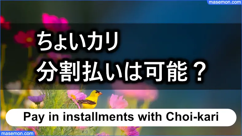 括の返済が厳しいときは分割払いを利用できるか？