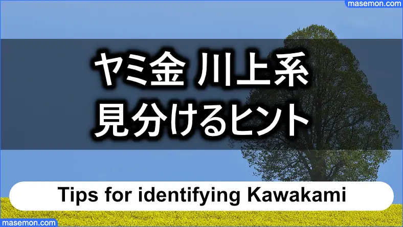 川上系の闇金を見分けるヒントになるもの